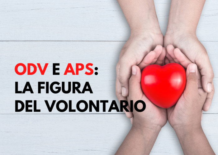 la figura del volontario nel terzo settore