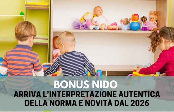 bonis nido