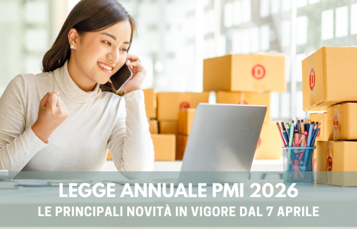 legge annuale pmi 2006