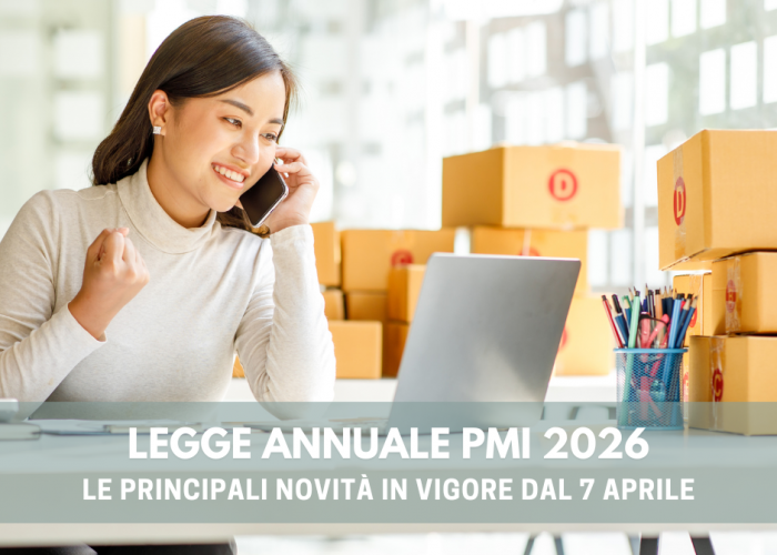 legge annuale pmi 2006