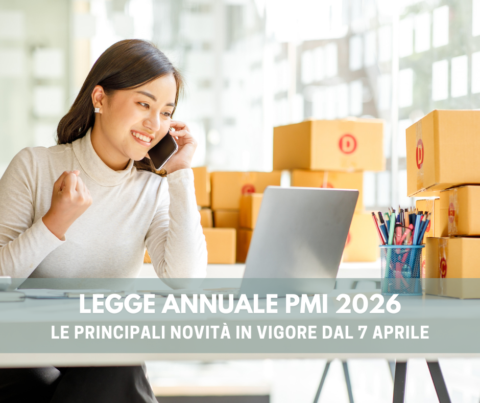 legge annuale pmi 2006